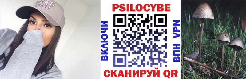 мориарти наркотические препараты  Сусуман  Галлюциногенные грибы мухоморы 